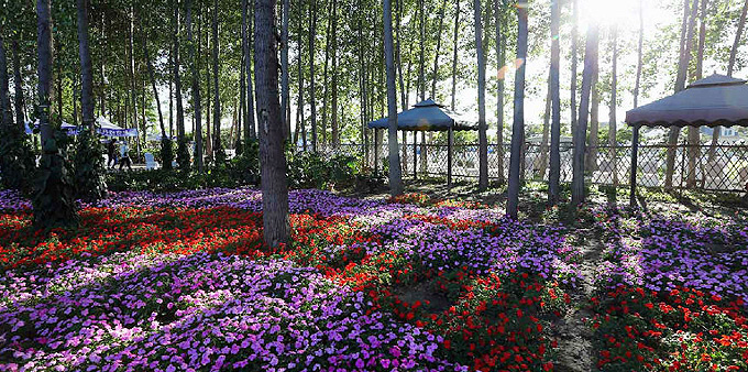 北京拉斐特城堡酒店举办梦幻主题婚礼秀